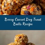 Blueberry, Strawberry, and Carrot Balls for Dogs Recipe