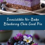 No Bake Plant-Based Vegan Blueberry Chia Seed Pie Recipe
