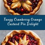 Cranberry Orange Custard Pie Recipe