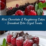 Mini Chocolate & Raspberry Cake Recipe
