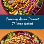 Asian Peanut Chicken Salad Recipe