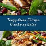 Asian Chicken Cranberry Salad Recipe