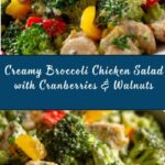 Creamy Broccoli and Chicken Salad Recipe