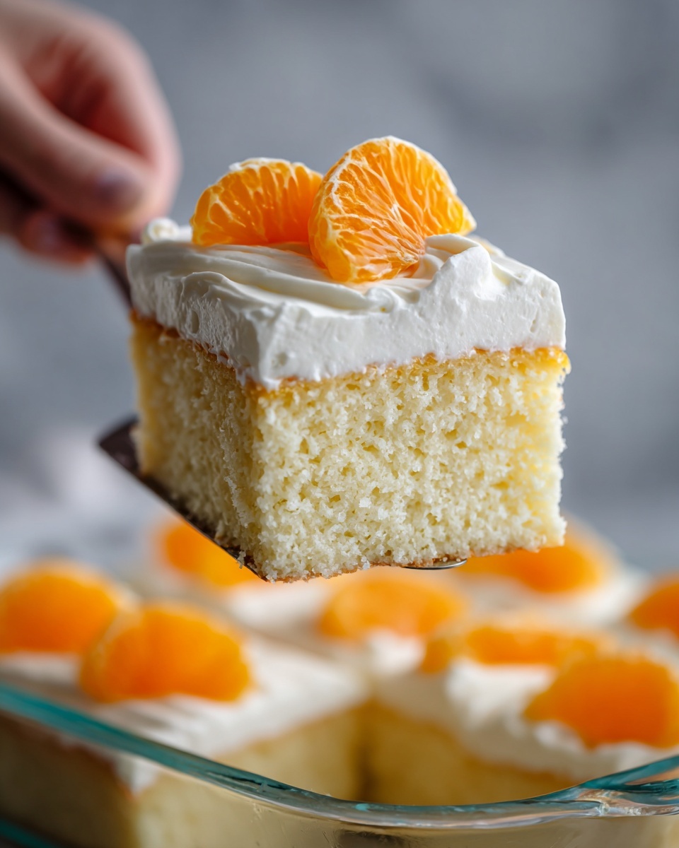 Classic Pig Pickin’ Cake Recipe - Recipe Image